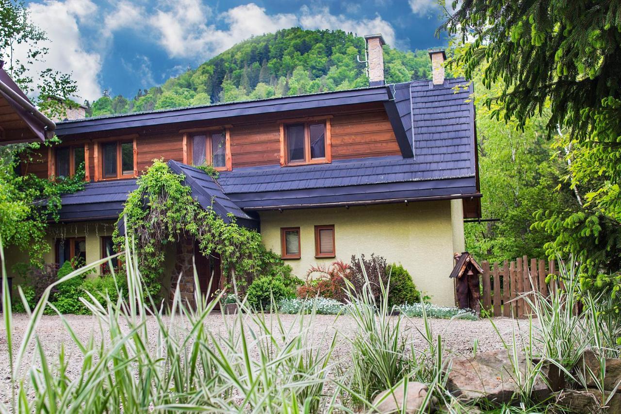 Zielony Ruczaj Cisna Bagian luar foto