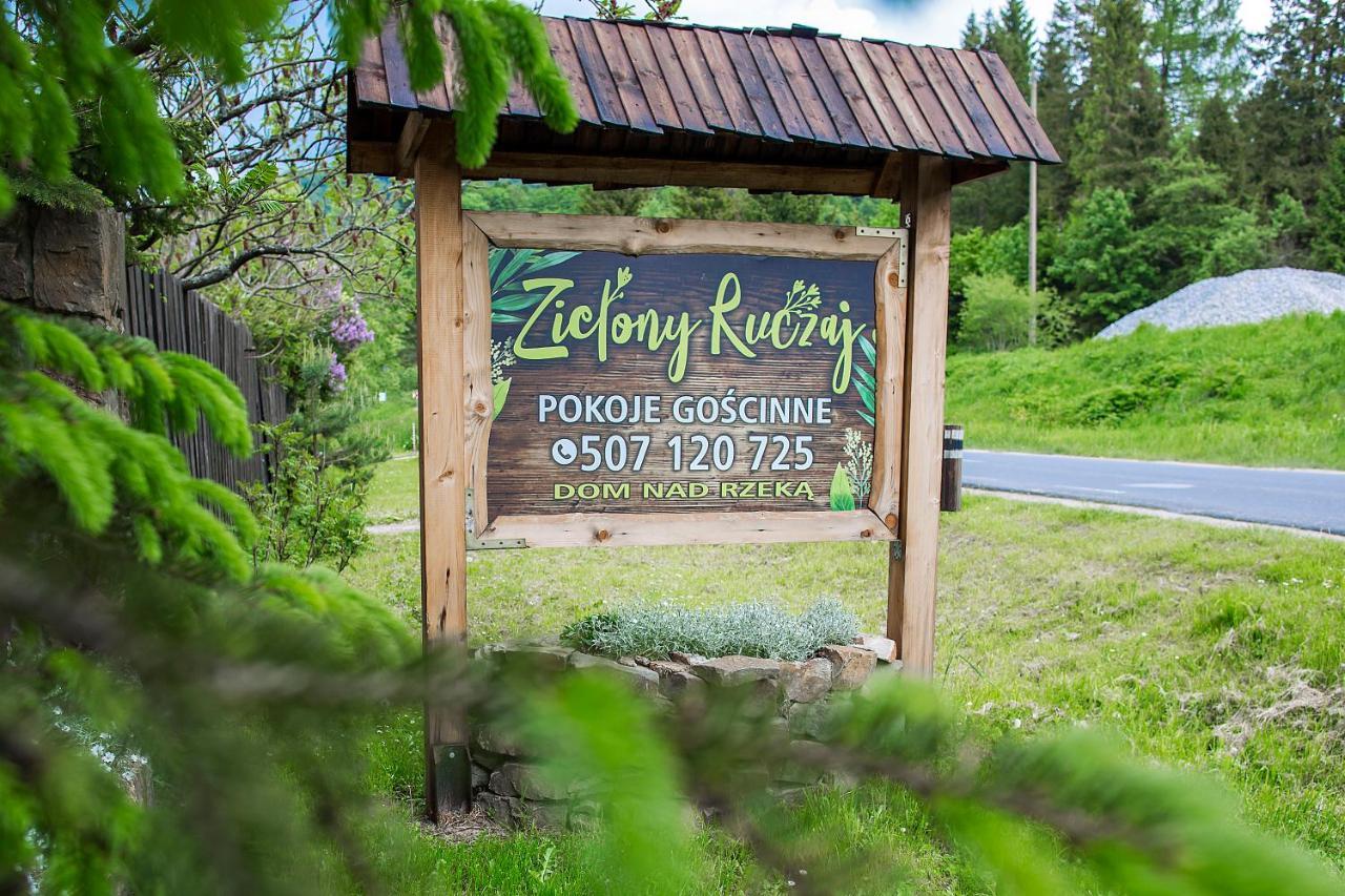 Zielony Ruczaj Cisna Bagian luar foto